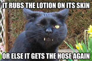 Evil Cat
