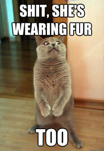 Horrorcat