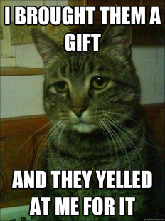 Depressed cat