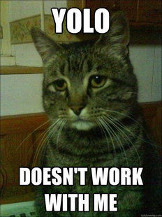 Depressed cat