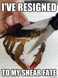 Optimistic Crab