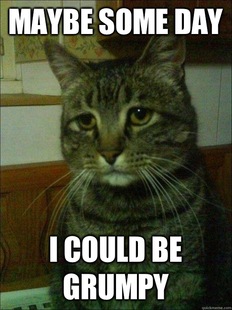 Depressed cat