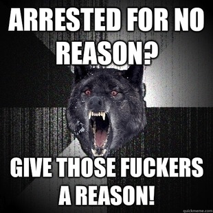 Insanity Wolf