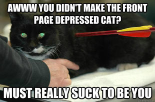 Worlds Toughest Cat
