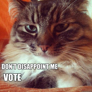 VoteCat