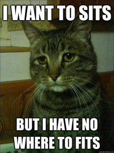 Depressed cat