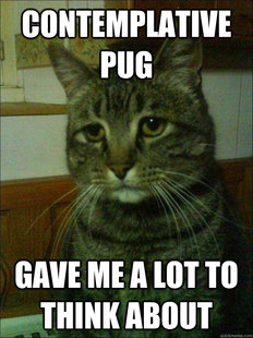 Depressed cat