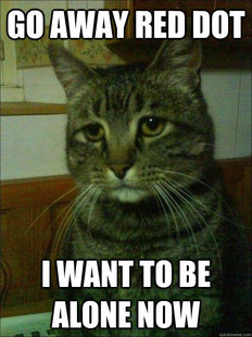 Depressed cat