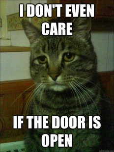Depressed cat