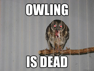Bloodthirsty Owl