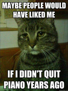 Depressed cat
