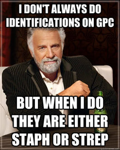 The Most Interesting Man In The World
