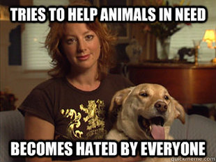 Sarah Mclachlan