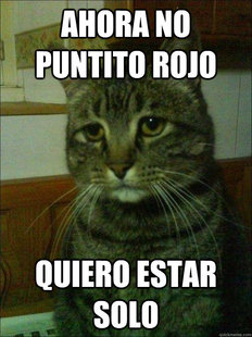 Depressed cat