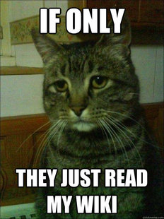 Depressed cat
