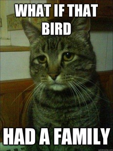 Depressed cat
