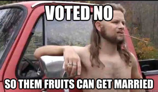 Almost Politically Correct Redneck