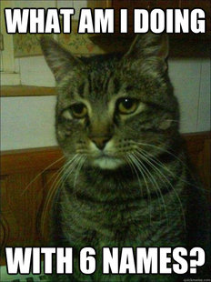 Depressed cat