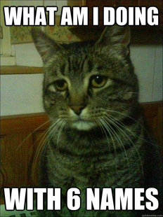 Depressed cat