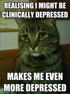 Depressed cat