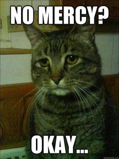 Depressed cat