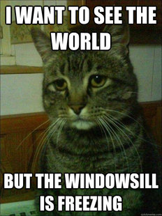Depressed cat