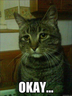 Depressed cat