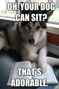 Condescending Literary Pun Dog