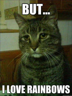 Depressed cat