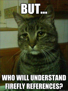 Depressed cat