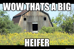 Surprised Barn