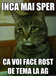 Depressed cat