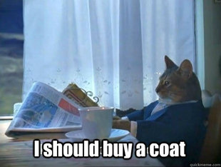 Fancy Cat