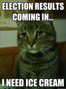 Depressed cat