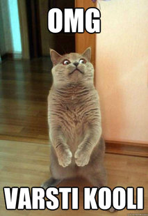 Horrorcat