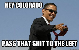Obamas Holding