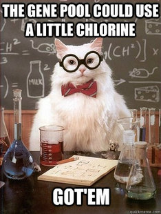 Chemistry Cat