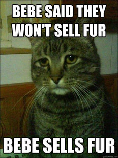 Depressed cat