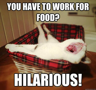 Oblivious Flat Cat
