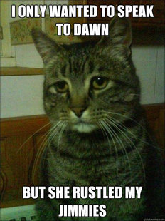 Depressed cat