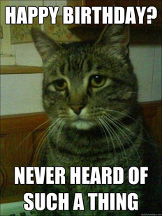 Depressed cat