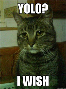 Depressed cat