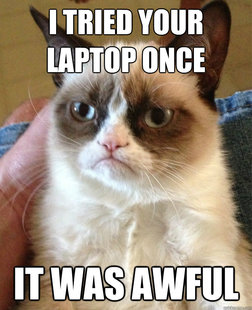 Grumpy cat