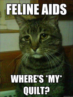 Depressed cat