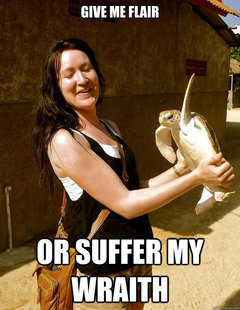 Domestic Violence Turtle