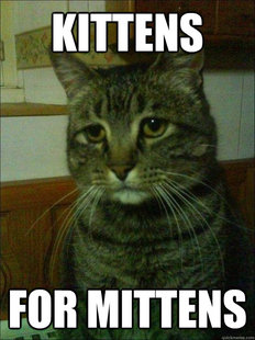Depressed cat