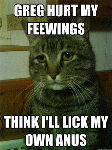 Depressed cat
