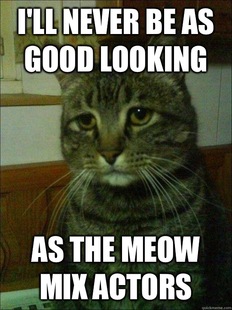 Depressed cat