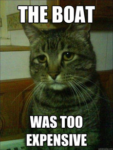 Depressed cat