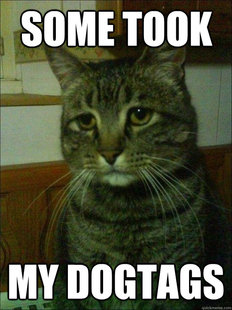 Depressed cat